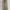 Carhartt Vintage Streetwear Jeans Pria tan khaki photo 3