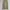 Carhartt Vintage Streetwear Jeans Pria tan khaki photo 1