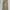 Carhartt Vintage Streetwear Jeans Pria Tan Khaki
