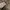 Carhartt Vintage Streetwear Jeans Pria tan khaki photo 6