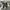 Adidas Streetwear Sportswear Sneakers Pria navy black photo 4