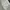 Vintage Coquette Summer dress Wanita white photo 3