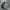 New Balance Streetwear Sneakers Pria silver white photo 1