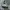 New Balance Streetwear Sneakers Pria Silver White