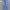 Levi's Luxury Casual Jeans Pria blue photo 2