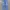 Levi's Luxury Casual Jeans Pria Blue