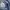 Levi's Luxury Casual Jeans Pria blue photo 4