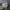 VANS Streetwear Jeans Pria silver gray photo 4