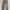 Levi's Vintage Y2K Jeans Pria tan cream photo 3