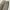 Levi's Vintage Y2K Jeans Pria Tan Cream