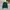 Nike Casual Hoody Pria green photo 1