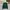 Nike Casual Hoody Pria Green