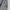 Polo Ralph Lauren Vintage Y2K Jeans Pria navy gray photo 2