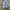 Asics Streetwear Tracksuit Pria silver photo 1