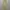 Luxury Minimalist Summer dress Wanita yellow photo 1