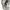 Dickies Streetwear Jeans Pria khaki photo 6