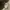 Burberry Luxury Casual Parka Pria tan cream photo 6