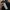 Carhartt Streetwear Indie Suit Pria black photo 6