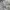 Vintage Streetwear Windbreaker Pria white photo 7