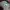 Adidas Vintage Streetwear Hat Pria silver photo 2