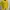 Casual Blouse Wanita yellow photo 3
