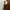 Casual Evening dress Wanita brown photo 3