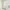 Love Bonito Casual Midi dress Wanita tan khaki photo 3