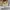 Luxury Minimalist Shoulder bag Wanita yellow photo 2
