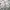 Burberry Vintage Casual Harrington jacket Pria cream photo 1