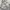 Burberry Vintage Casual Harrington jacket Pria cream photo 4