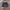 Kappa Casual Short Pria navy photo 1