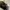 Adidas Streetwear Casual Casual shoe Pria white black photo 3