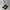Adidas Streetwear Casual Casual Shoe Pria White Black
