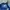 Adidas Sportswear Casual Jersey Pria white blue photo 5