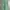Gung Ho Vintage Streetwear Casual pants Pria green photo 2