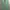 Gung Ho Vintage Streetwear Casual pants Pria green photo 3