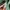 Gung Ho Vintage Streetwear Casual pants Pria green photo 5