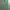 Gung Ho Vintage Streetwear Casual pants Pria green photo 7