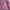 Billionaire Boys Club Streetwear Hoody Pria purple photo 7