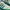 Adidas Casual Sneakers Pria green cream photo 2