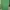 Minimalist Sweatshirt Pria Green