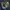 Vintage Y2K T-shirt Pria navy photo 3