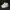 Adidas Sportswear Casual Sneakers Pria white photo 2