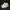 Adidas Sportswear Casual Sneakers Pria White
