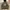 Adidas Streetwear Sportswear Hoody Pria multicolor photo 1