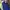 Yonex Streetwear Casual Track jacket Pria blue photo 3