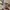 TATE Vintage Streetwear Parka Pria tan photo 5