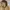 TATE Vintage Streetwear Parka Pria tan photo 4