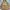 TATE Vintage Streetwear Parka Pria tan photo 2