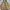 TATE Vintage Streetwear Parka Pria tan photo 3